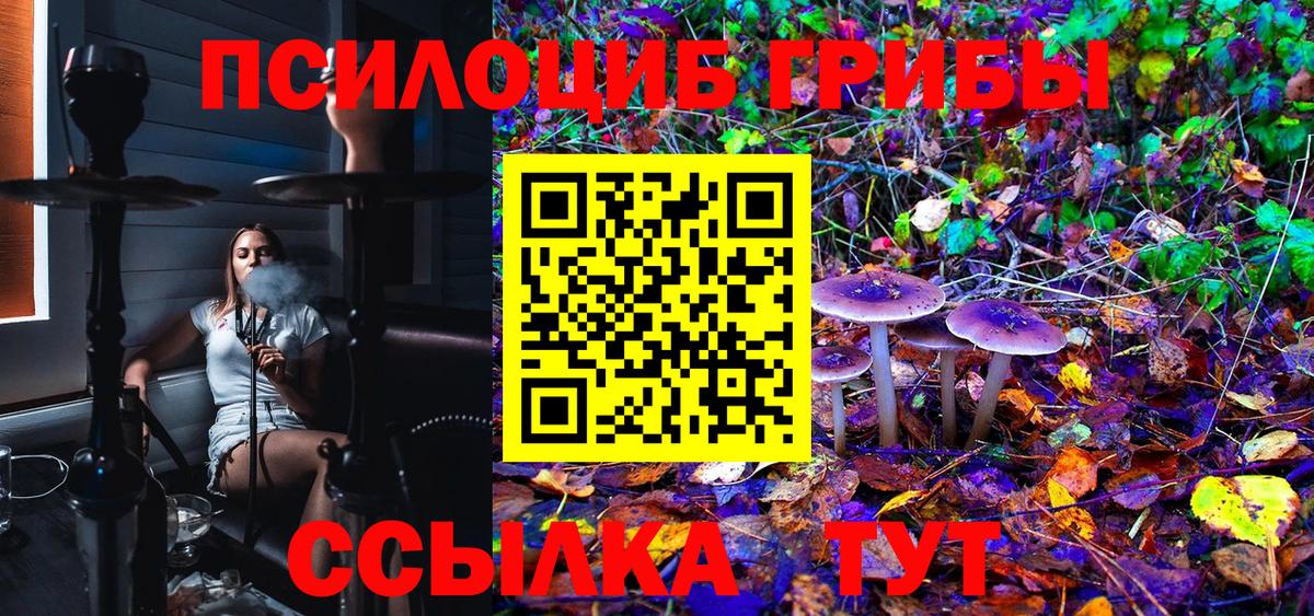 Псилоцибиновые грибы Magic Shrooms  Вход с VPN  Алейск 